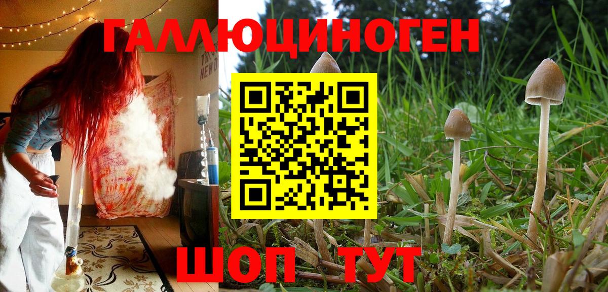 Галлюциногенные грибы ЛСД  Галлюциногенные грибы прущие грибы  Краснодар  Вход с VPN 