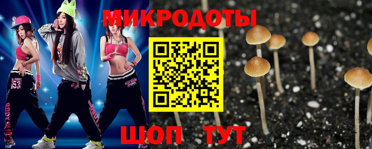 Псилоцибиновые грибы мицелий Краснодар